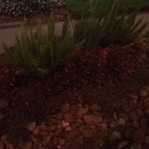 Meet your Posher, Avery